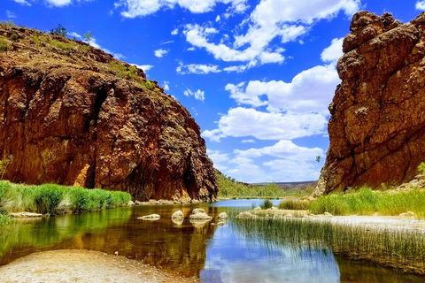 West MacDonnell Ranges Small-Group Full-Day Guided Tour - Mackay Tourism 8