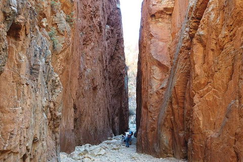 West MacDonnell Ranges Small-Group Full-Day Guided Tour - Mackay Tourism 6