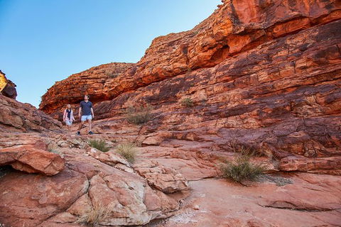 Kings Canyon Guided Rim Walk - Mackay Tourism 4