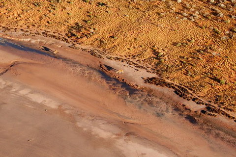 Scenic Flight: Lizard Safari - Mackay Tourism 1