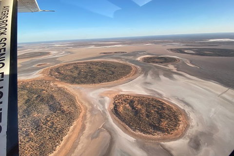 Scenic Flight: Lizard Safari - Mackay Tourism 7