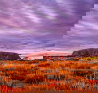 4-Day Camping Trip from Ayers Rock Including Uluru Kata Tjuta and Kings Canyon - Mackay Tourism