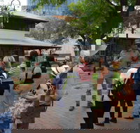 Alice Springs Walking Tours - Mackay Tourism