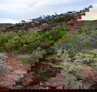 Palm Valley and Hermannsburg 1 Day 4WD Tour - Mackay Tourism