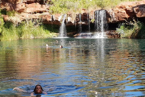20 Day Darwin To Perth Adventure - Mackay Tourism 6