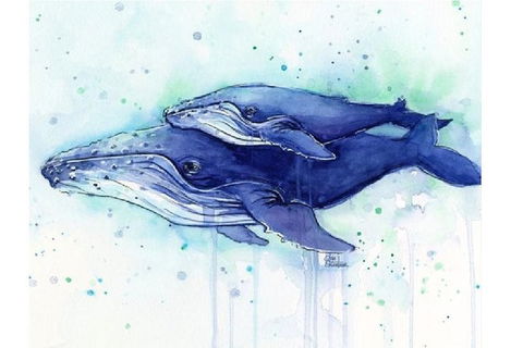 A Day At Sea - Six Tanks 3.00-5.00pm - Mackay Tourism 0