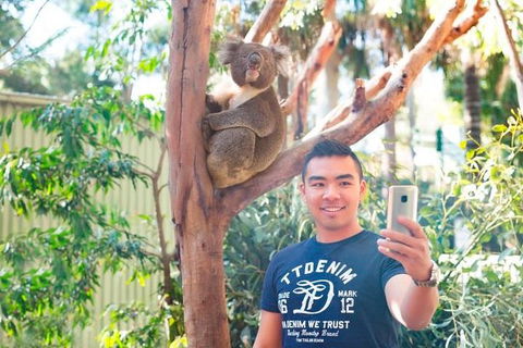 All Inclusive Full-Day Blue Mountains Trip From Sydney - Mackay Tourism 1
