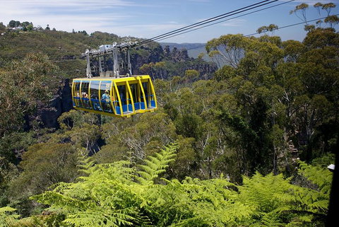 Go Sydney Explorer Pass With Hop-on Hop-Off Bus, Taronga Zoo And More - Mackay Tourism 10