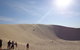 Port Stephens Day Tour With Dolphin Watching, Sandboarding & Australian Wildlife - thumb 21