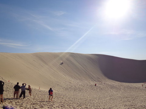 Port Stephens Day Tour With Dolphin Watching, Sandboarding & Australian Wildlife - Mackay Tourism 21