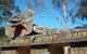 Port Stephens Day Tour With Dolphin Watching, Sandboarding & Australian Wildlife - thumb 7