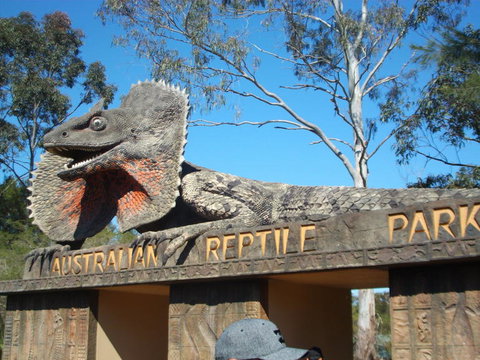 Port Stephens Day Tour With Dolphin Watching, Sandboarding & Australian Wildlife - Mackay Tourism 7