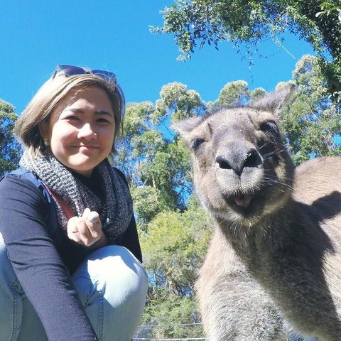 Port Stephens Day Tour With Dolphin Watching, Sandboarding & Australian Wildlife - Mackay Tourism 12