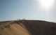 Port Stephens Day Tour With Dolphin Watching, Sandboarding & Australian Wildlife - thumb 14