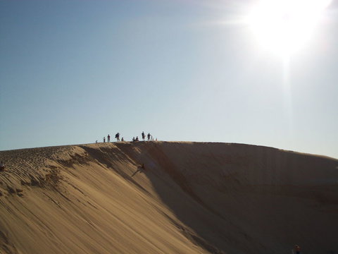 Port Stephens Day Tour With Dolphin Watching, Sandboarding & Australian Wildlife - Mackay Tourism 14