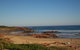 Port Stephens Day Tour With Dolphin Watching, Sandboarding & Australian Wildlife - thumb 4