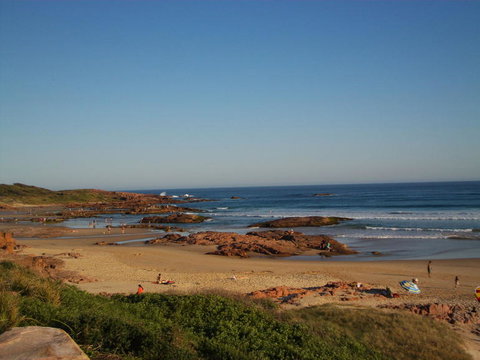 Port Stephens Day Tour With Dolphin Watching, Sandboarding & Australian Wildlife - Mackay Tourism 4