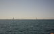 Port Stephens Day Tour With Dolphin Watching, Sandboarding & Australian Wildlife - thumb 3