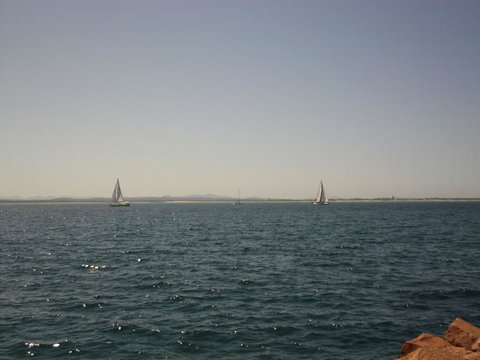 Port Stephens Day Tour With Dolphin Watching, Sandboarding & Australian Wildlife - Mackay Tourism 3