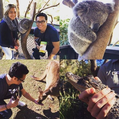 Port Stephens Day Tour With Dolphin Watching, Sandboarding & Australian Wildlife - Mackay Tourism 11