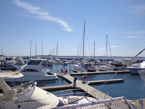 Port Stephens Day Tour With Dolphin Watching, Sandboarding & Australian Wildlife - Mackay Tourism 24