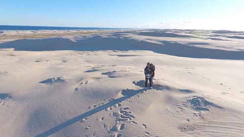 Port Stephens Day Tour With Dolphin Watching, Sandboarding & Australian Wildlife - Mackay Tourism 10