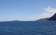 Port Stephens Day Tour With Dolphin Watching, Sandboarding & Australian Wildlife - thumb 23
