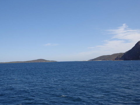 Port Stephens Day Tour With Dolphin Watching, Sandboarding & Australian Wildlife - Mackay Tourism 23