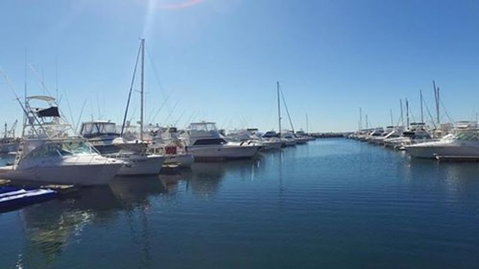 Port Stephens Day Tour With Dolphin Watching, Sandboarding & Australian Wildlife - Mackay Tourism 9