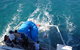 Port Stephens Day Tour With Dolphin Watching, Sandboarding & Australian Wildlife - thumb 22