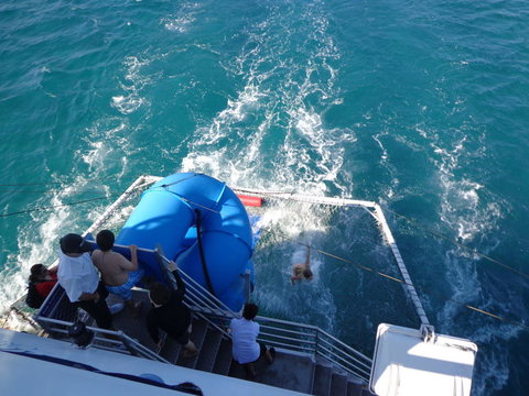 Port Stephens Day Tour With Dolphin Watching, Sandboarding & Australian Wildlife - Mackay Tourism 22