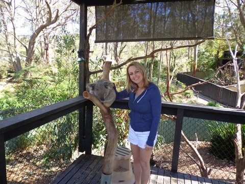 Port Stephens Day Tour With Dolphin Watching, Sandboarding & Australian Wildlife - Mackay Tourism 25