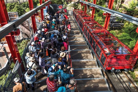Private Guided Tour: Blue Mountains Tour From Sydney - Mackay Tourism 10