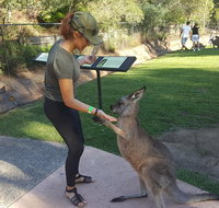 Sydney Private Day Tours - Central Coast Beaches Plus Wildlife  Reptile Park - Mackay Tourism