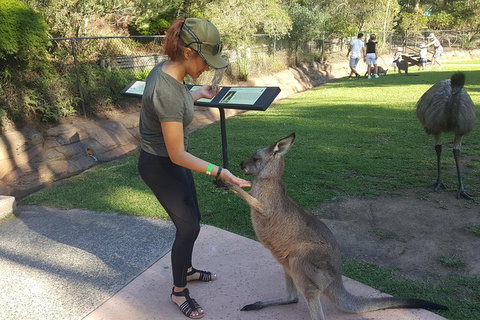 Sydney Private Day Tours - Central Coast, Beaches, Plus Wildlife & Reptile Park - Mackay Tourism 0