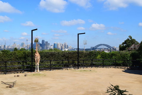 Sydney Taronga Zoo General Entry Ticket - Mackay Tourism 3
