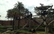 Sydney Taronga Zoo General Entry Ticket - thumb 20
