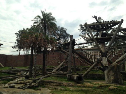 Sydney Taronga Zoo General Entry Ticket - Mackay Tourism 20