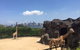 Sydney Taronga Zoo General Entry Ticket - thumb 7