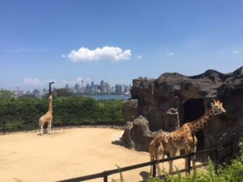 Sydney Taronga Zoo General Entry Ticket - Mackay Tourism 7
