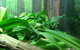 Sydney Taronga Zoo General Entry Ticket - thumb 24