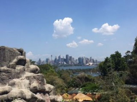 Sydney Taronga Zoo General Entry Ticket - Mackay Tourism 5