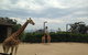 Sydney Taronga Zoo General Entry Ticket - thumb 23
