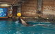 Sydney Taronga Zoo General Entry Ticket - thumb 8
