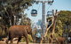 Sydney Taronga Zoo General Entry Ticket - thumb 32