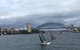 Sydney Combo: Hop-On Hop-Off Harbor Cruise And Hop-On Hop-Off City Bus Tour - thumb 22