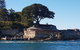 Sydney Combo: Hop-On Hop-Off Harbor Cruise And Hop-On Hop-Off City Bus Tour - thumb 4