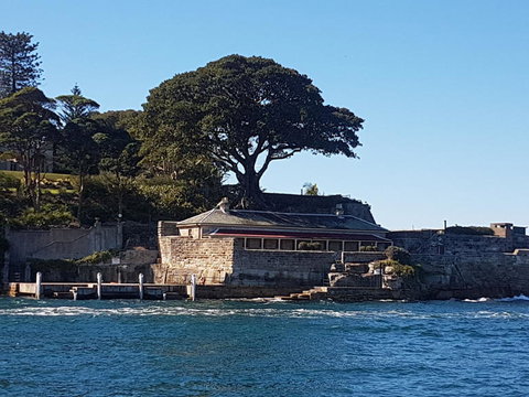 Sydney Combo: Hop-On Hop-Off Harbor Cruise And Hop-On Hop-Off City Bus Tour - Mackay Tourism 4