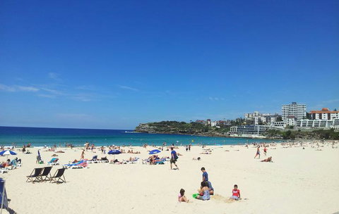 Sydney Combo: Hop-On Hop-Off Harbor Cruise And Hop-On Hop-Off City Bus Tour - Mackay Tourism 25