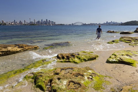 Sydney Combo: Hop-On Hop-Off Harbor Cruise And Hop-On Hop-Off City Bus Tour - Mackay Tourism 30